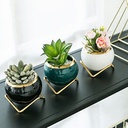 Maceta porcelana borde dorado con soporte Verde