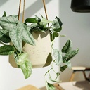 Maceta colgante grande color beige